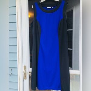 Susan Graver Blue and Black Dress